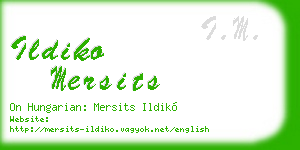 ildiko mersits business card